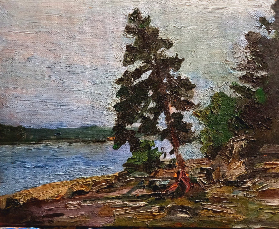 Blue Spruce in Long Lake