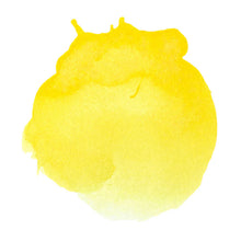Charger l&#39;image dans la galerie, Liquitex Acrylic Ink
