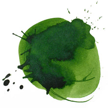 Charger l&#39;image dans la galerie, Liquitex Acrylic Ink
