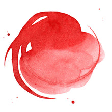 Charger l&#39;image dans la galerie, Liquitex Acrylic Ink
