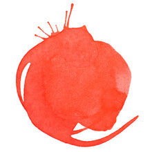 Charger l&#39;image dans la galerie, Liquitex Acrylic Ink
