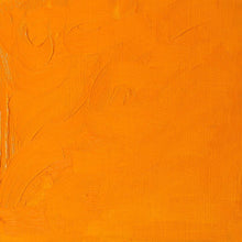 Charger l&#39;image dans la galerie, Winsor &amp; Newton Peinture à l&#39;huile Winton 37 ml
