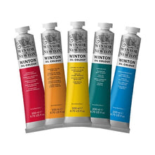 Load image into Gallery viewer, Winsor &amp; Newton Winton Oil Paint 200ml

